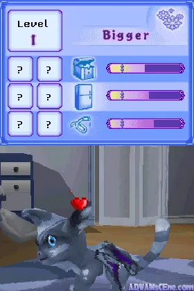 Petz Fantasy - Moonlight Magic (USA) (En,Fr,Es) (NDSi Enhanced) screen shot game playing